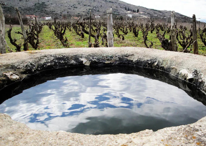 Kameni bunar u vinogradu