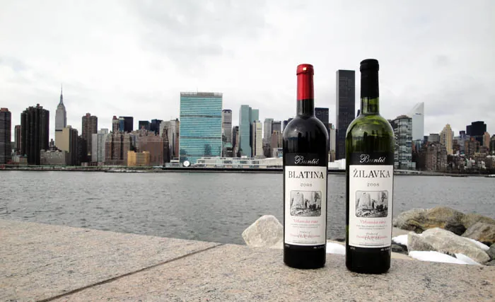 Vina Buntić u New Yorku